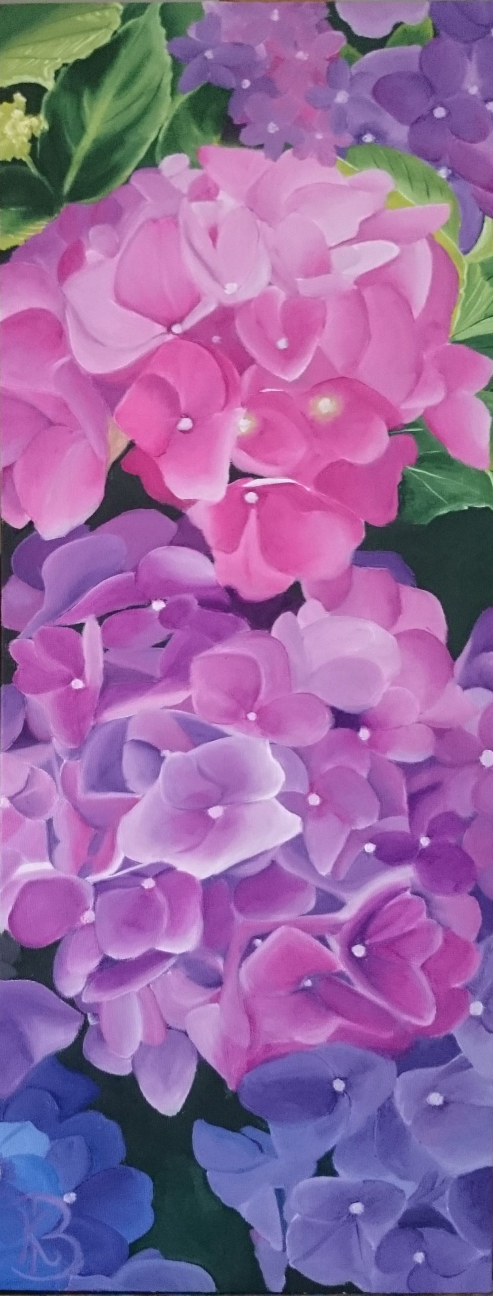 Bouquet d’Hortensias (25×60)